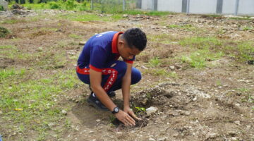 Manfaatkan Lahan Idle, Lapas Narkotika Langkat Wujudkan Ketahanan Pangan Lewat Budidaya Hortikultura Pepaya California